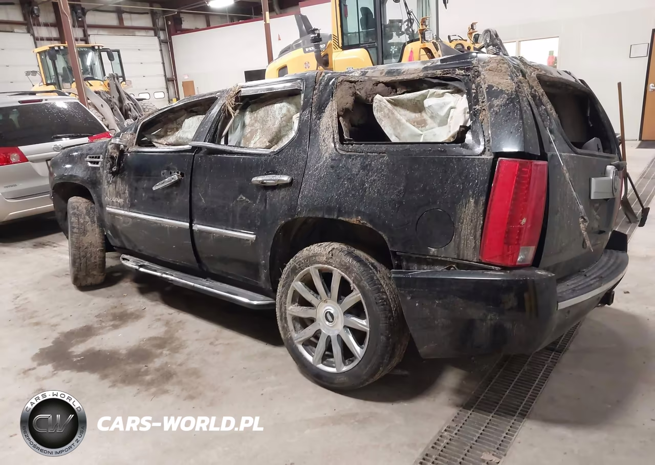 2010 Cadillac Escalade Luxury VIN:1GYUKBEF9AR148417 - 3