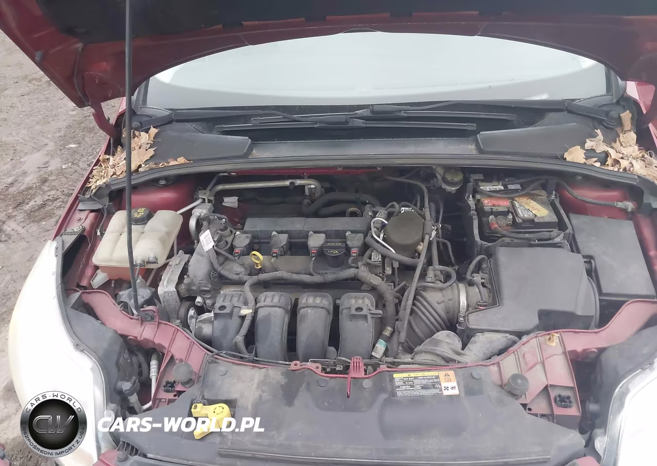 2014 Ford Focus Se VIN:1FADP3F26EL174397 - 10