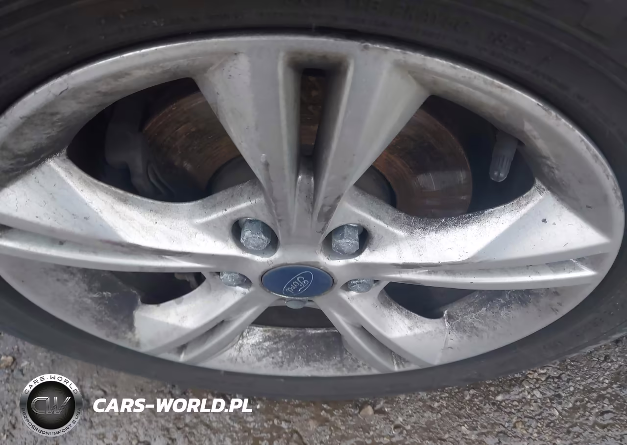2014 Ford Focus Se VIN:1FADP3F26EL174397 - 11