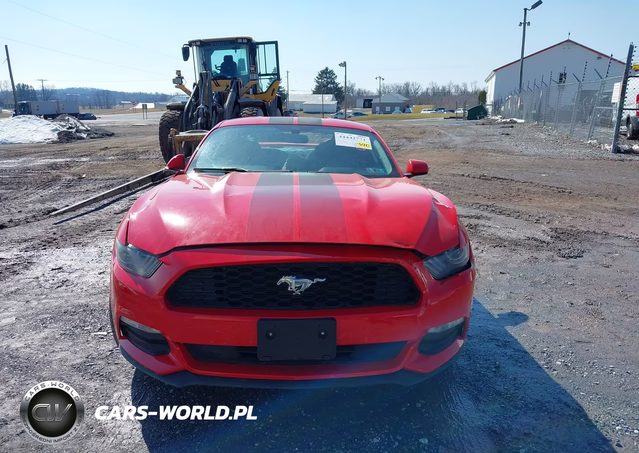 2017 Ford Mustang V6 VIN:1FA6P8AM6H5322586 - 12
