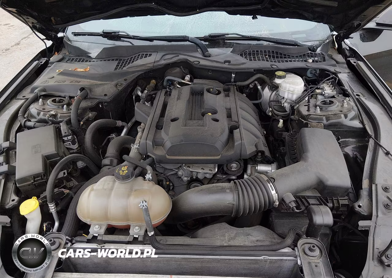 2018 Ford Mustang Ecoboost VIN:1FA6P8THXJ5177512 - 10