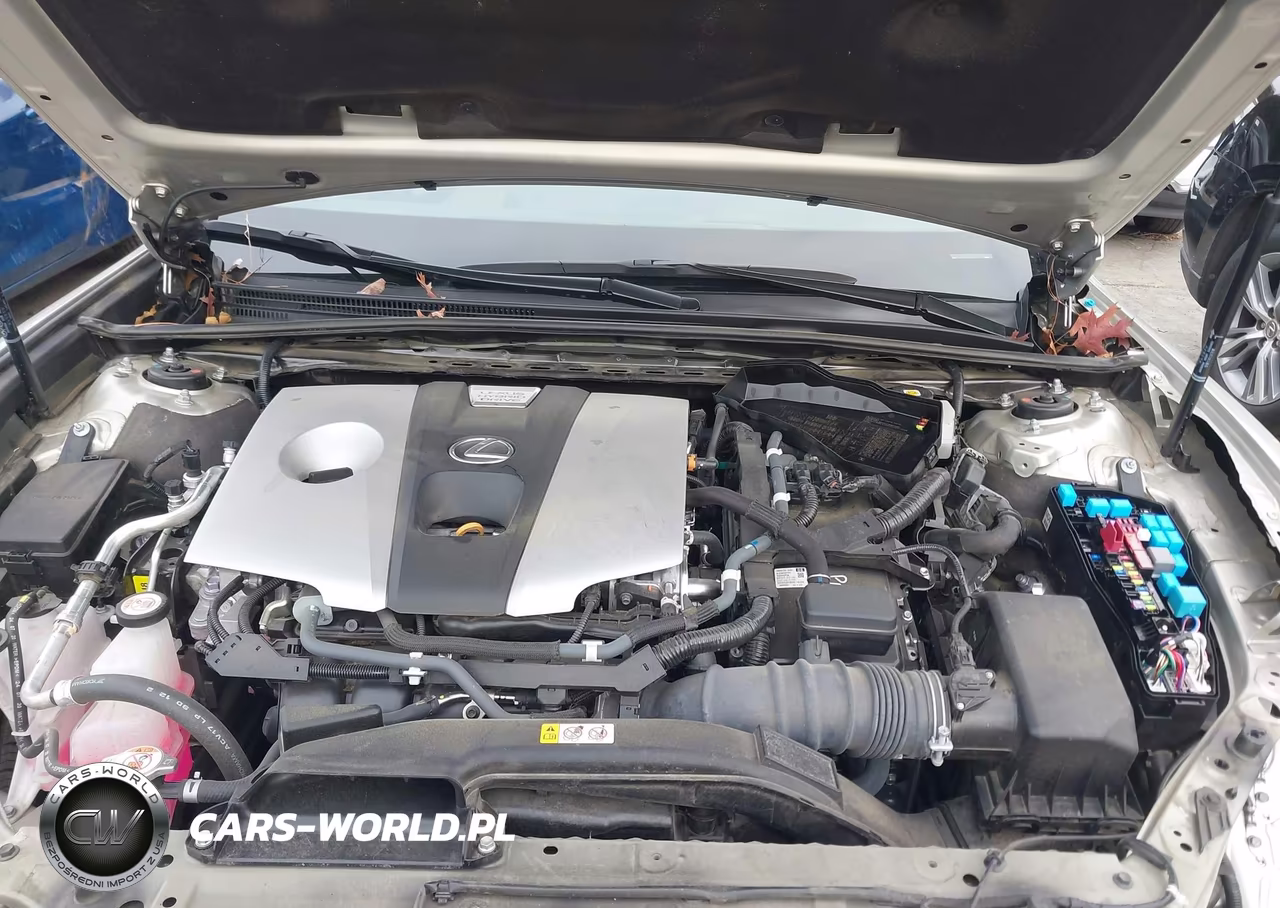 2021 Lexus Es 300H VIN:58ADA1C10MU005632 - 10
