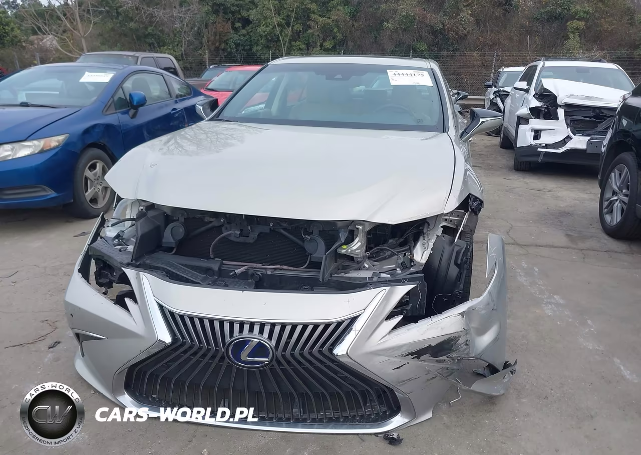 2021 Lexus Es 300H VIN:58ADA1C10MU005632 - 12