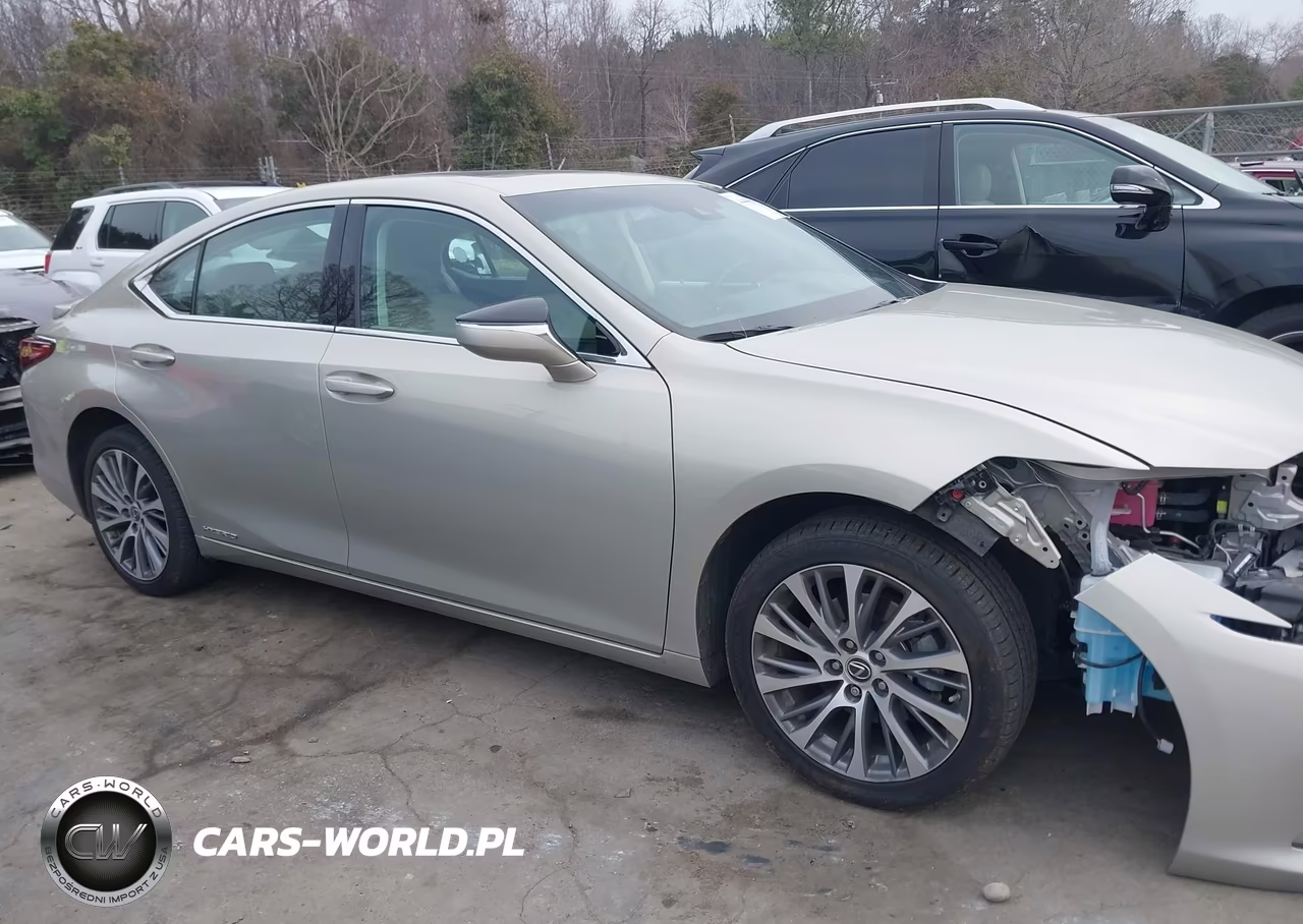2021 Lexus Es 300H VIN:58ADA1C10MU005632 - 13