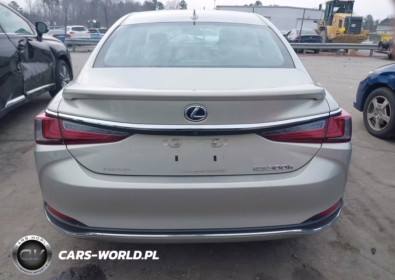 2021 Lexus Es 300H VIN:58ADA1C10MU005632 - 16