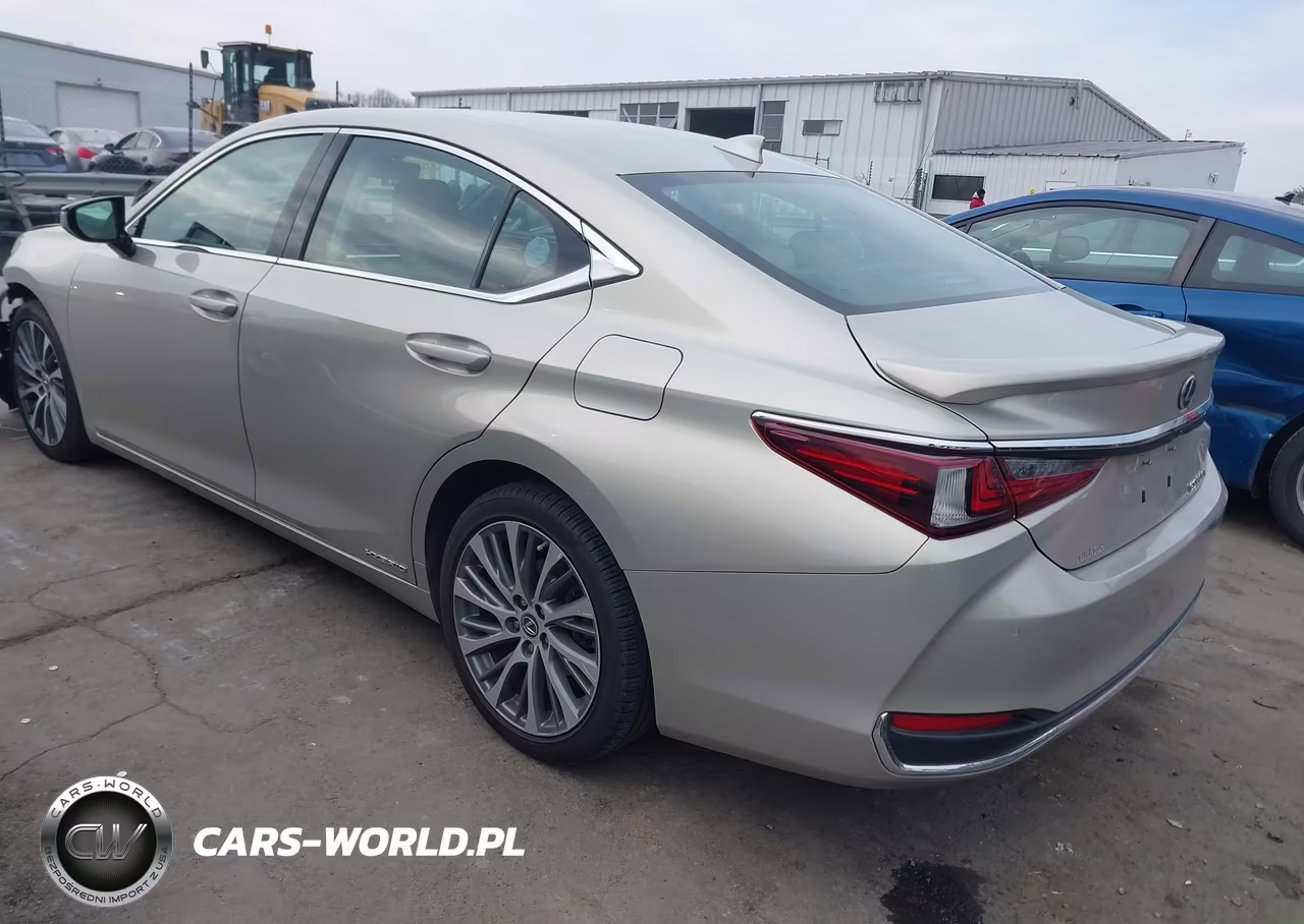 2021 Lexus Es 300H VIN:58ADA1C10MU005632 - 3