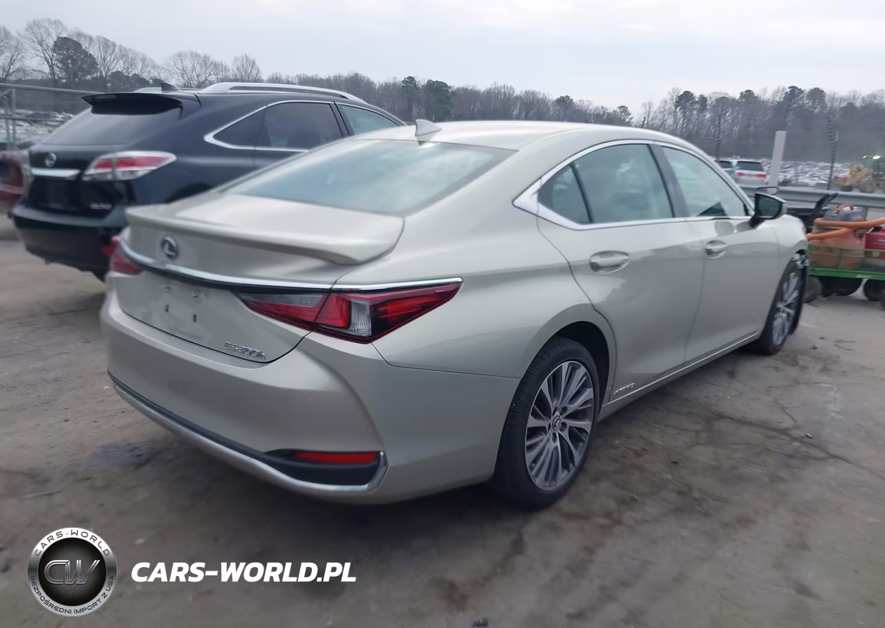 2021 Lexus Es 300H VIN:58ADA1C10MU005632 - 4