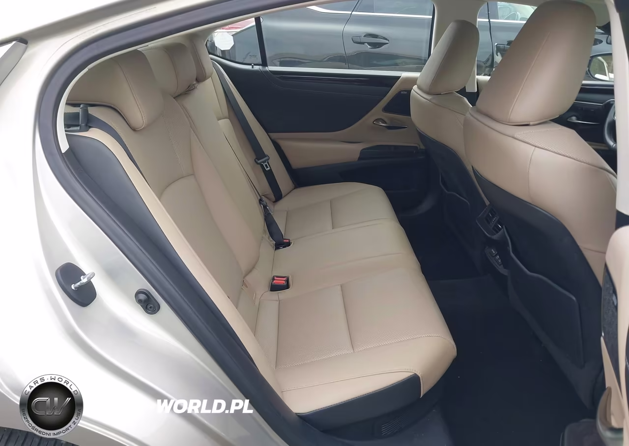 2021 Lexus Es 300H VIN:58ADA1C10MU005632 - 8