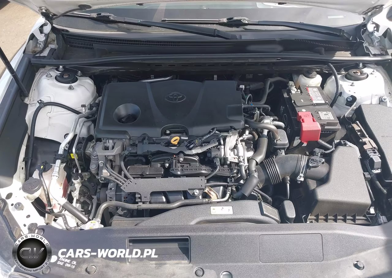 2019 Toyota Camry Le VIN:4T1B11HK2KU811064 - 10