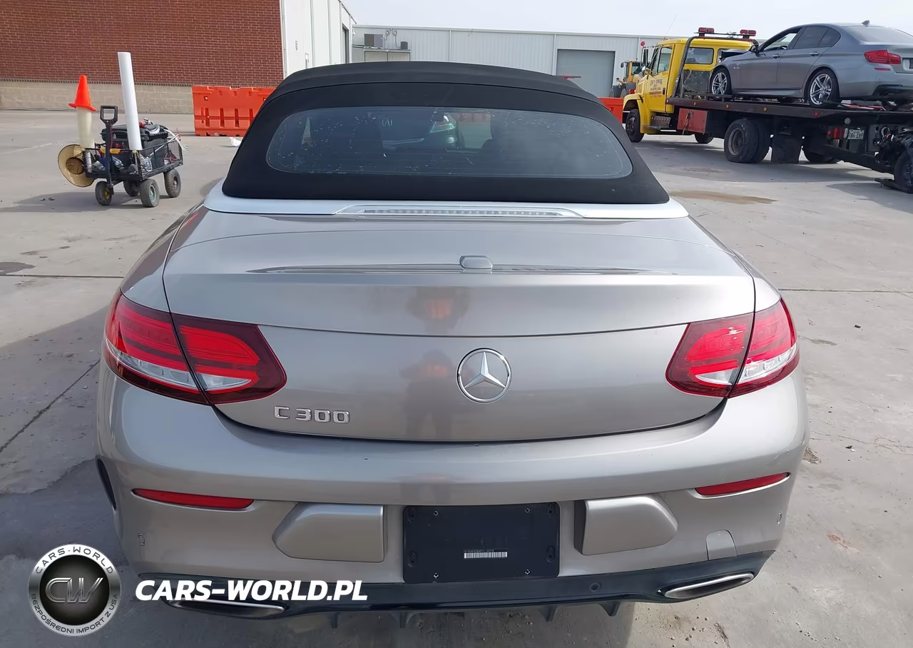 2023 Mercedes-Benz C 300 Cabriolet VIN:W1KWK8DB4PG118378 - 17