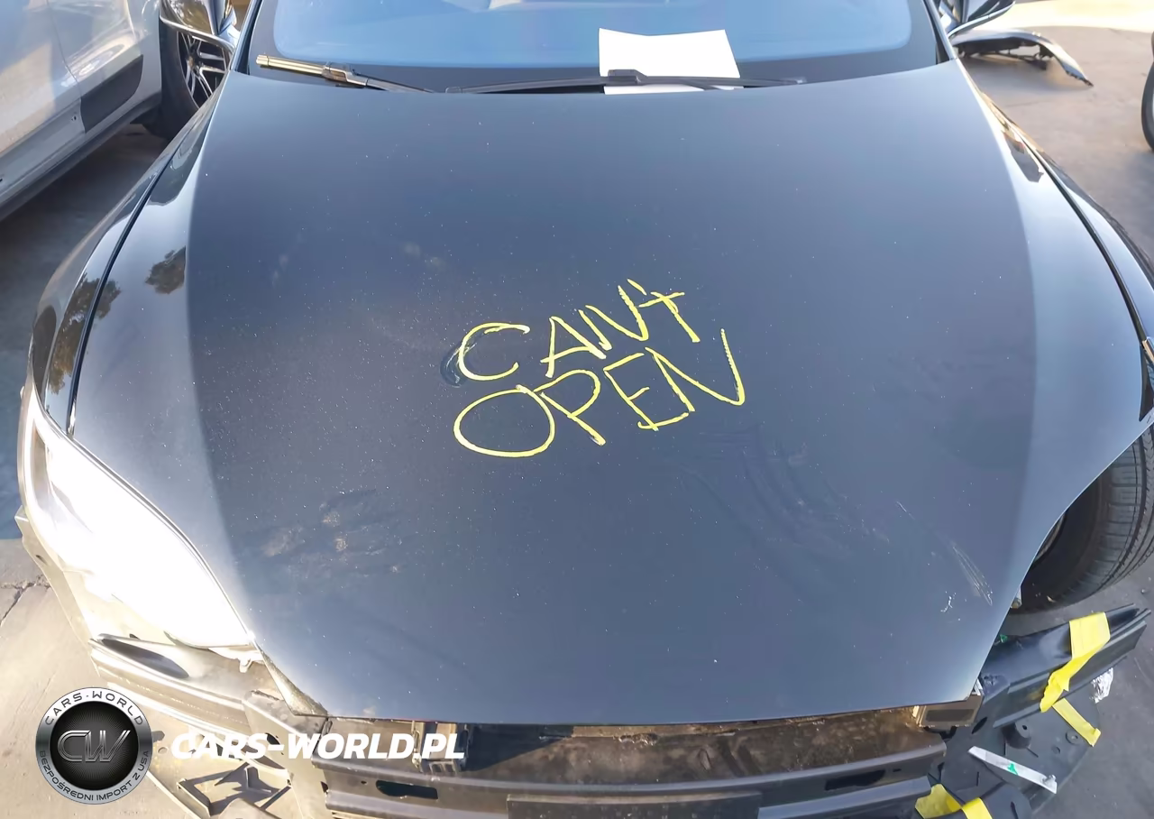 2016 Tesla Model S 60D-70D-75D-85D-90D VIN:5YJSA1E23GF139265 - 10