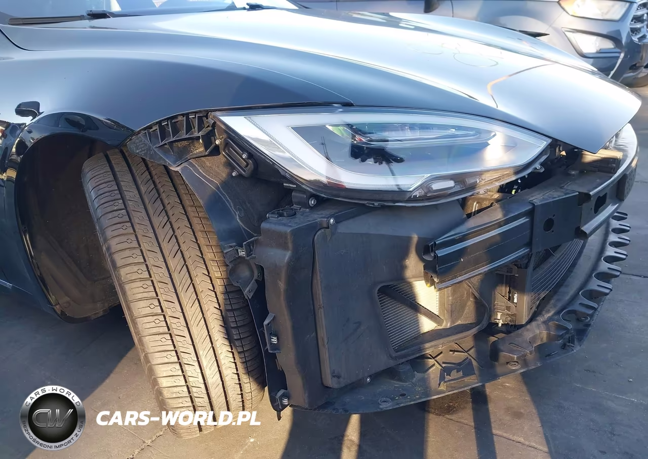 2016 Tesla Model S 60D-70D-75D-85D-90D VIN:5YJSA1E23GF139265 - 12