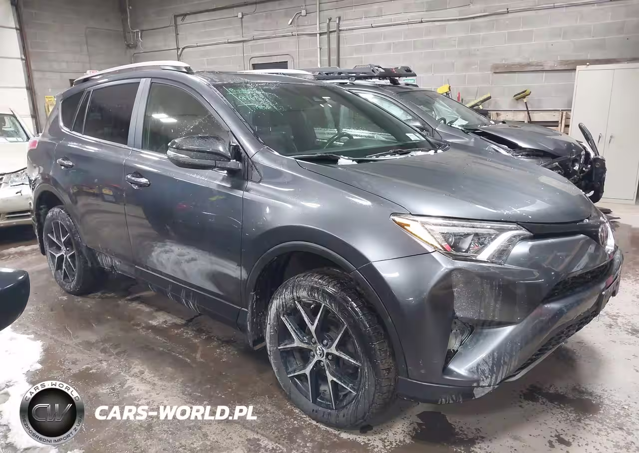 2017 Toyota Rav4 Se