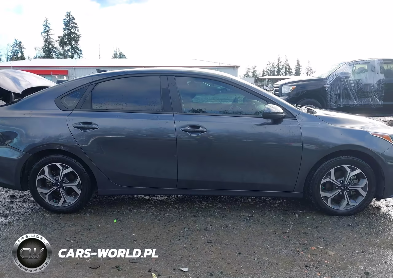 2020 Kia Forte Lxs VIN:3KPF24AD7LE247699 - 13