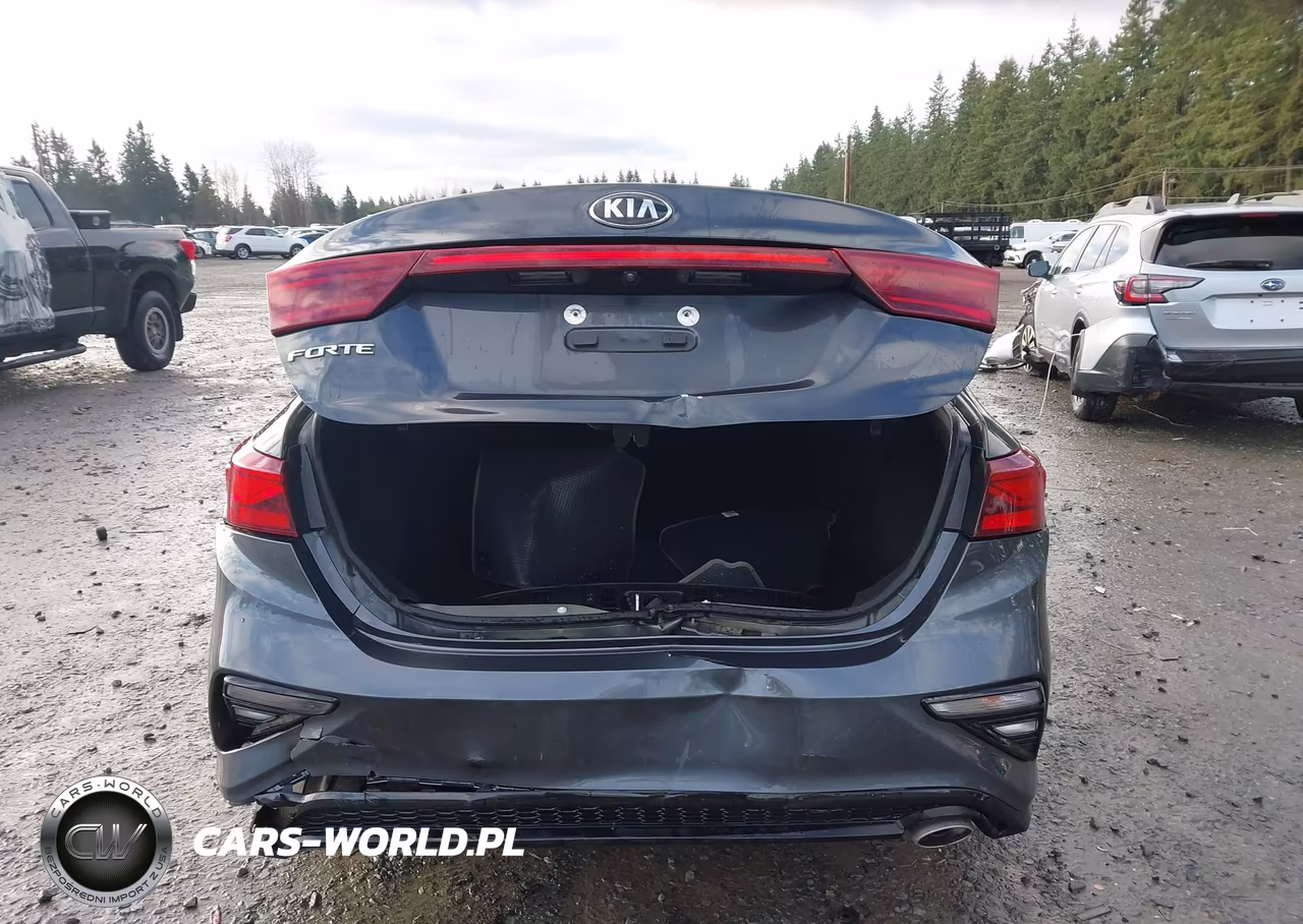 2020 Kia Forte Lxs VIN:3KPF24AD7LE247699 - 16