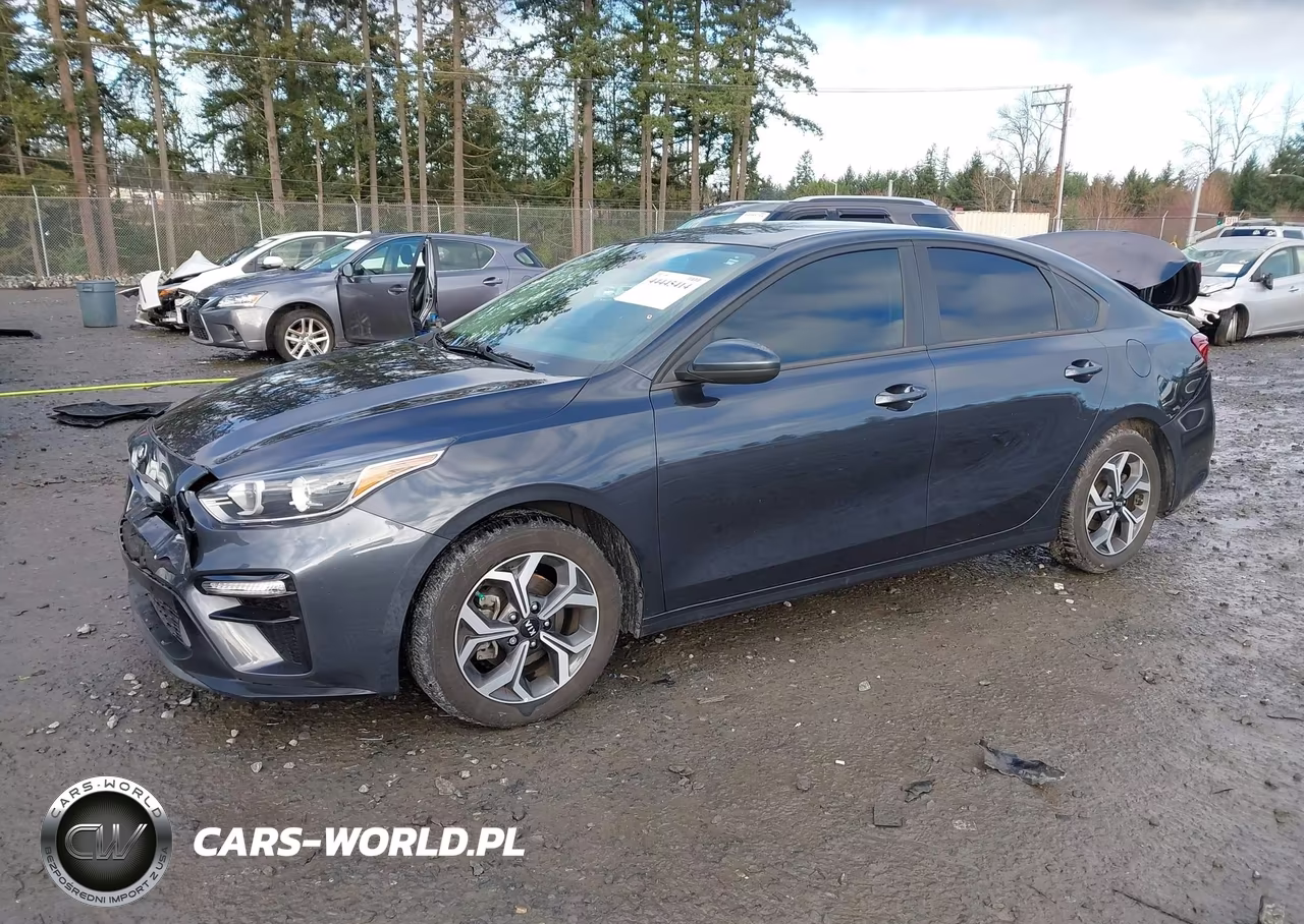 2020 Kia Forte Lxs VIN:3KPF24AD7LE247699 - 2