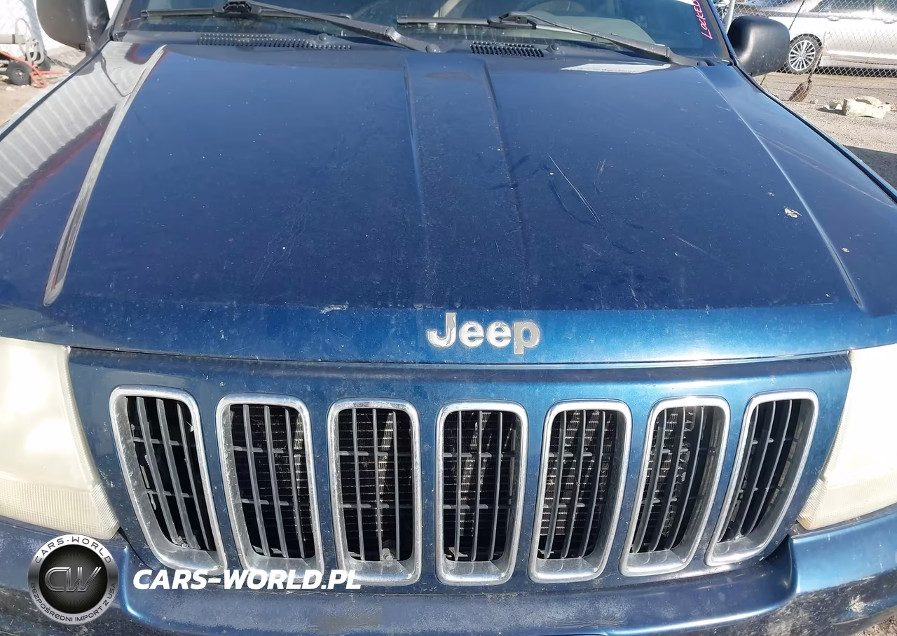 2001 Jeep Grand Cherokee Limited VIN:1J4GX58S31C574504 - 10