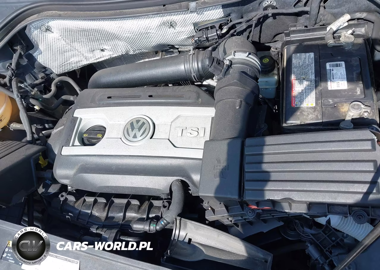 2014 Volkswagen Tiguan Sel VIN:WVGAV3AXXEW605162 - 10