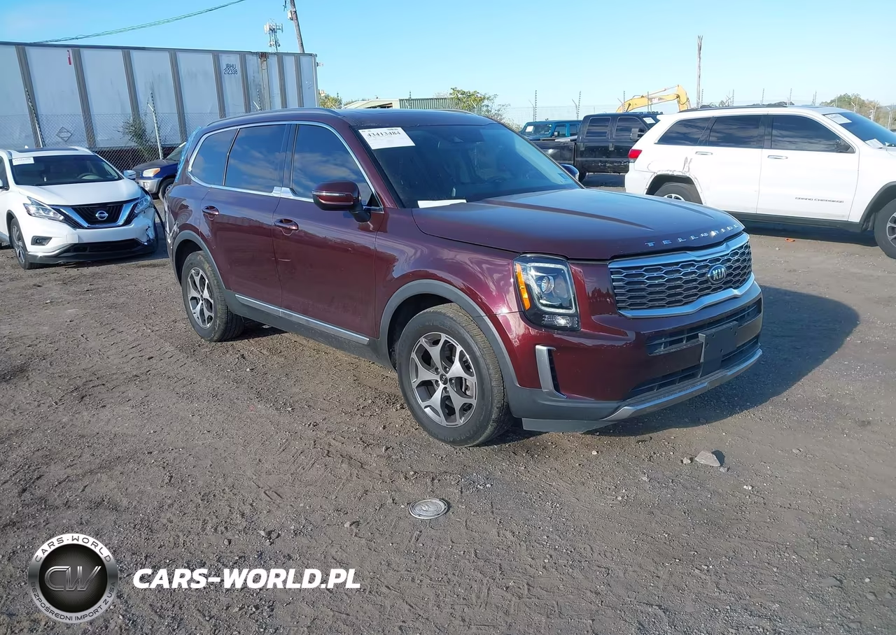 2020 Kia Telluride Ex VIN:5XYP3DHC8LG011693 - 1