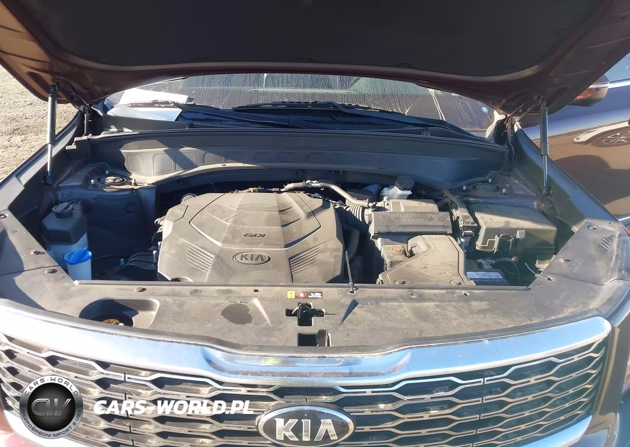 2020 Kia Telluride Ex VIN:5XYP3DHC8LG011693 - 10