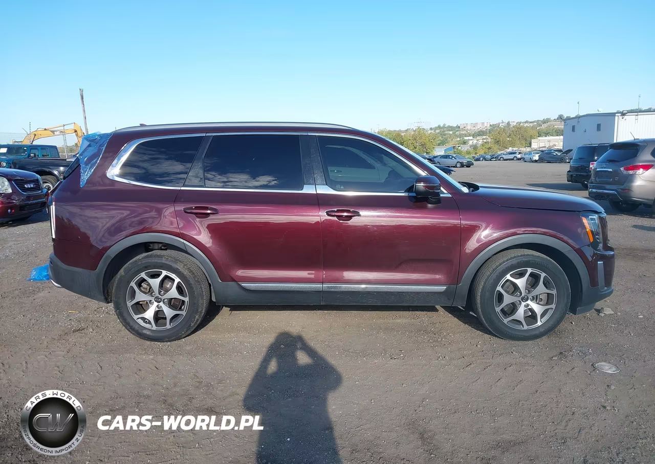 2020 Kia Telluride Ex VIN:5XYP3DHC8LG011693 - 13