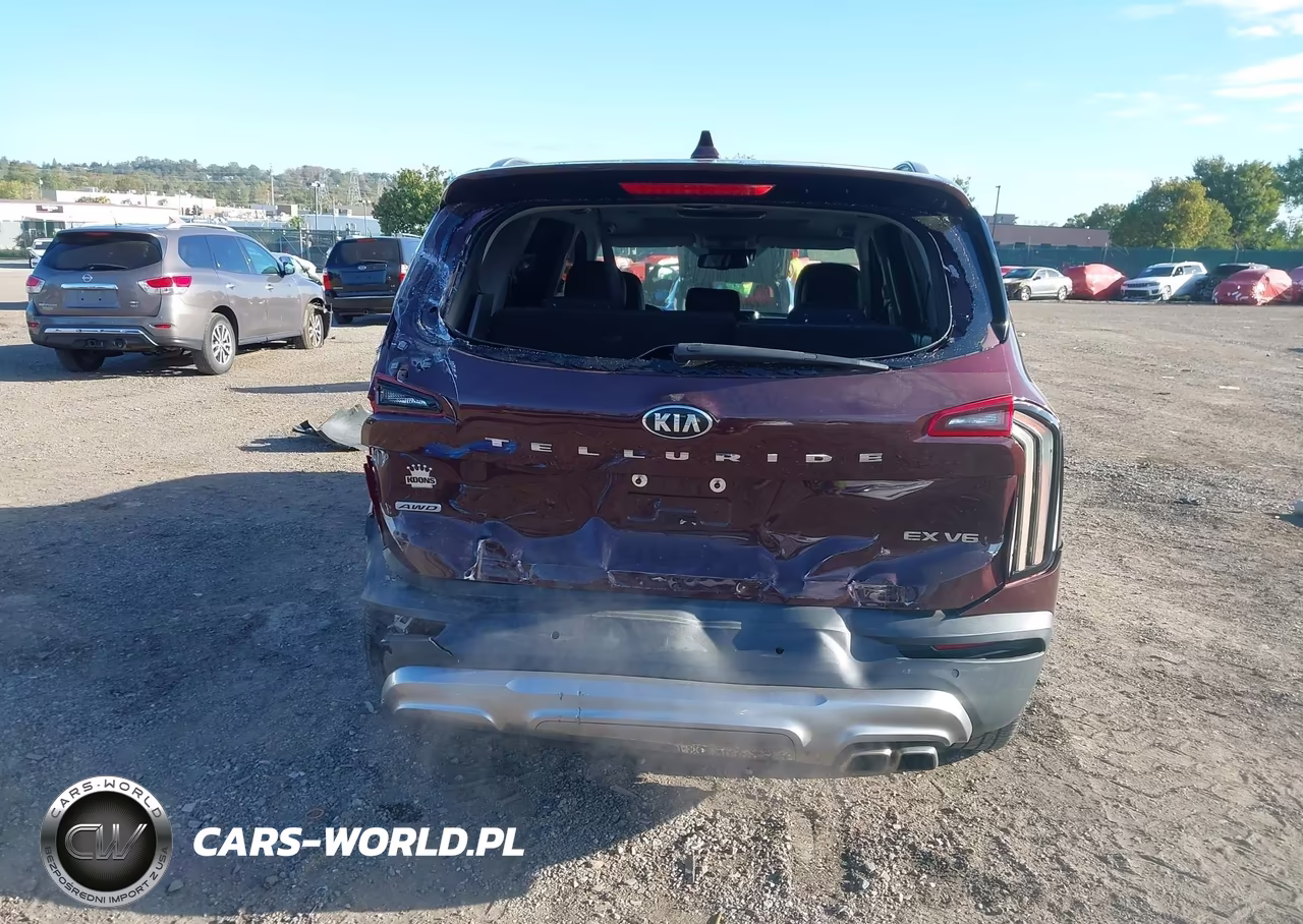 2020 Kia Telluride Ex VIN:5XYP3DHC8LG011693 - 16
