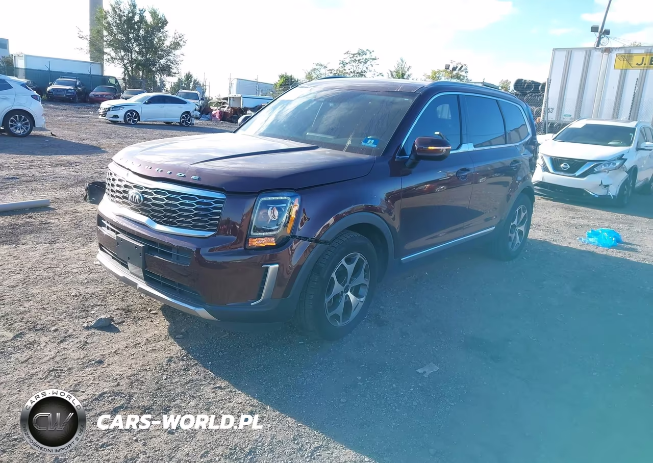 2020 Kia Telluride Ex VIN:5XYP3DHC8LG011693 - 2