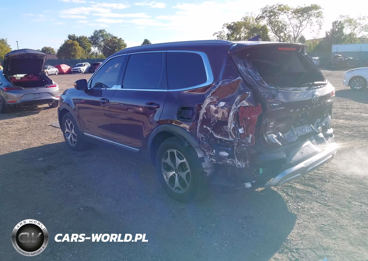 2020 Kia Telluride Ex VIN:5XYP3DHC8LG011693 - 3