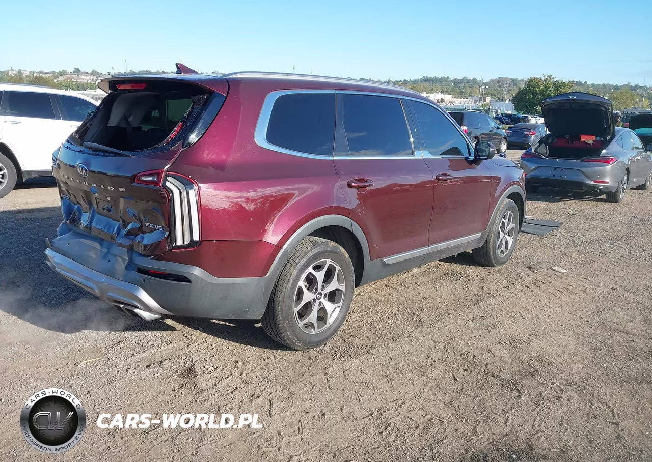 2020 Kia Telluride Ex VIN:5XYP3DHC8LG011693 - 4