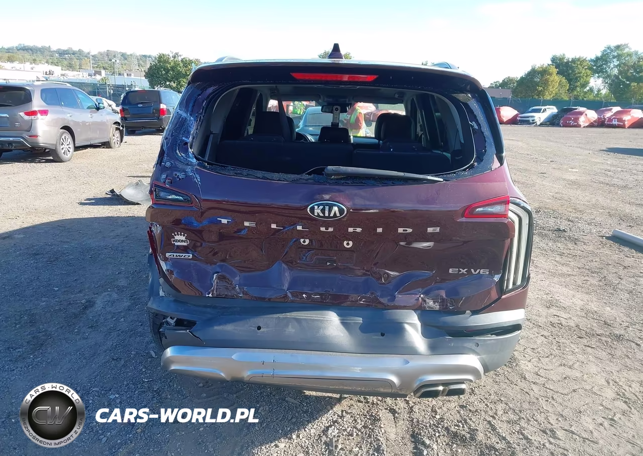 2020 Kia Telluride Ex VIN:5XYP3DHC8LG011693 - 6