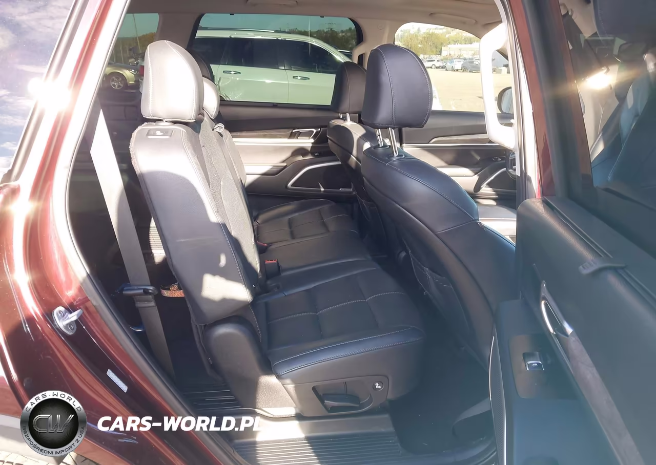 2020 Kia Telluride Ex VIN:5XYP3DHC8LG011693 - 8