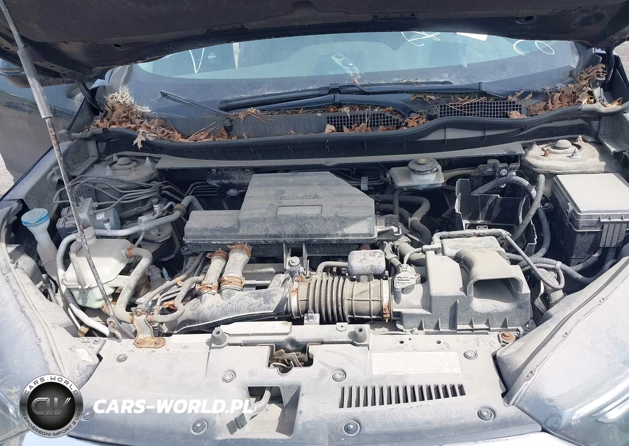 2019 Honda Cr-V Ex-L VIN:5J6RW2H89KL033568 - 10