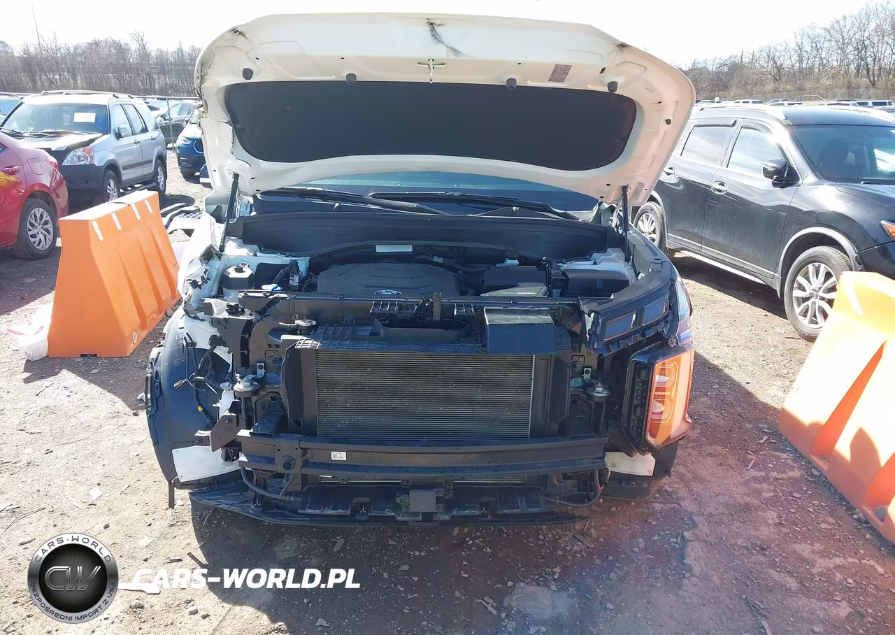 2023 Hyundai Palisade Xrt VIN:KM8R34GE0PU544908 - 10