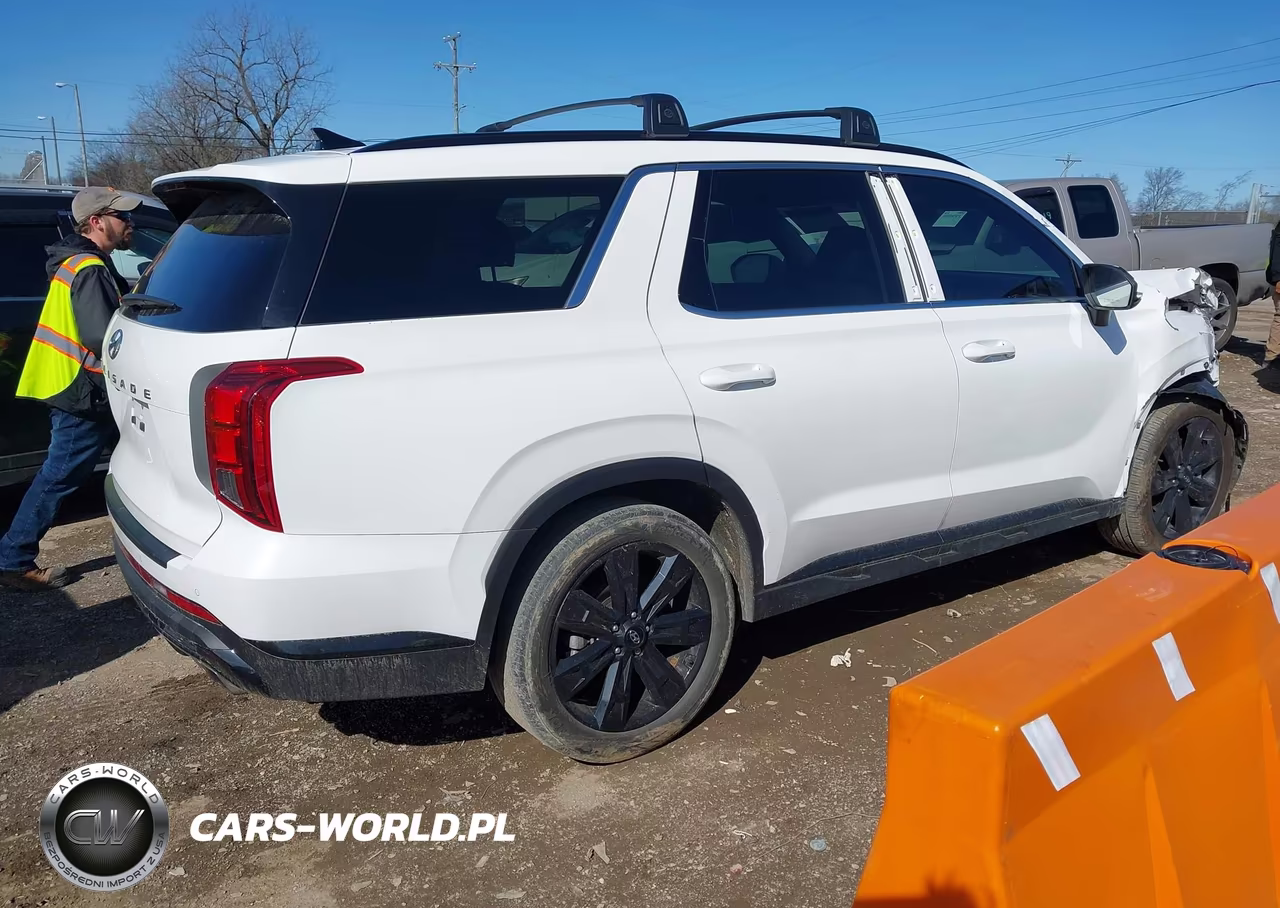 2023 Hyundai Palisade Xrt VIN:KM8R34GE0PU544908 - 4