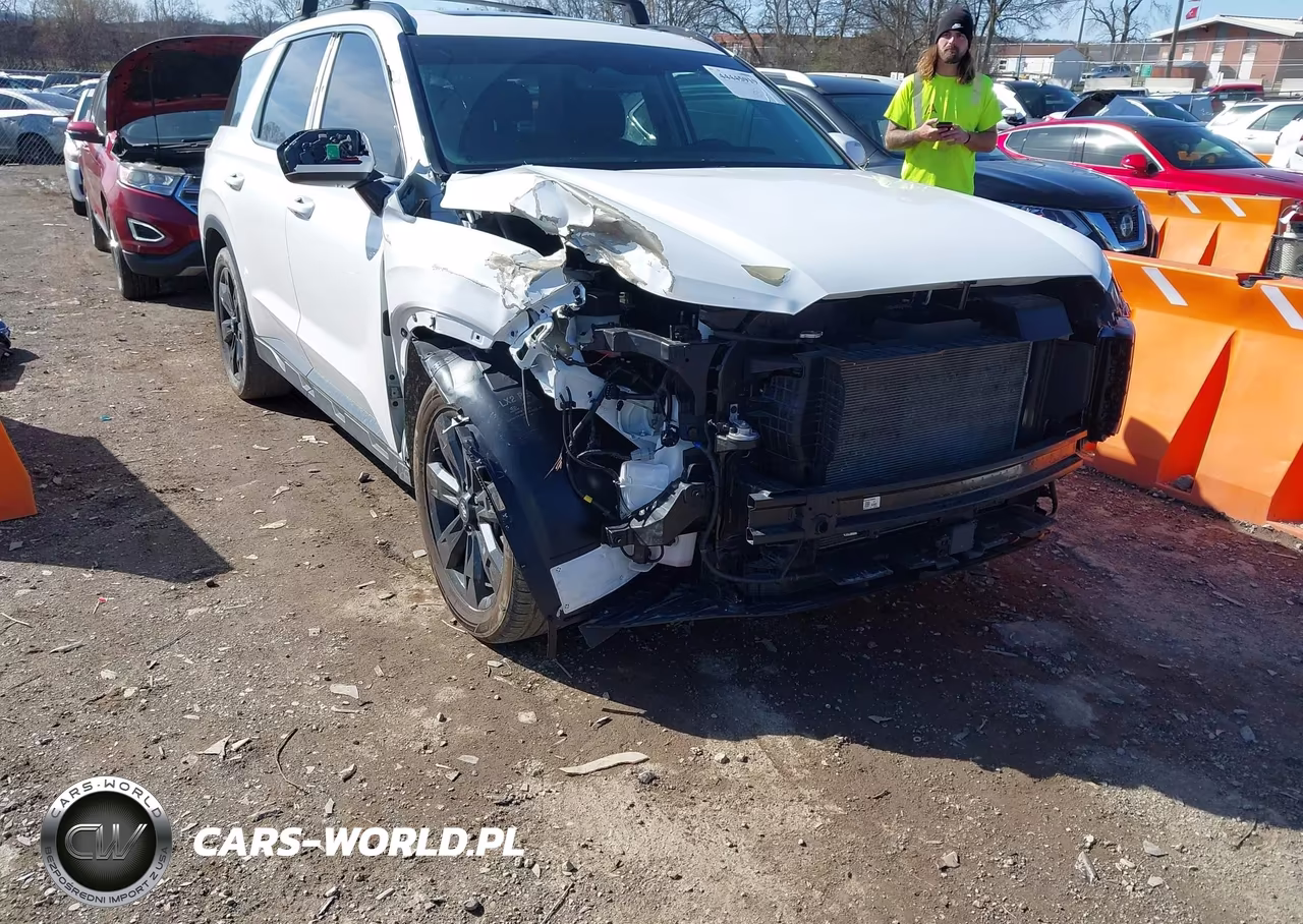 2023 Hyundai Palisade Xrt VIN:KM8R34GE0PU544908 - 6