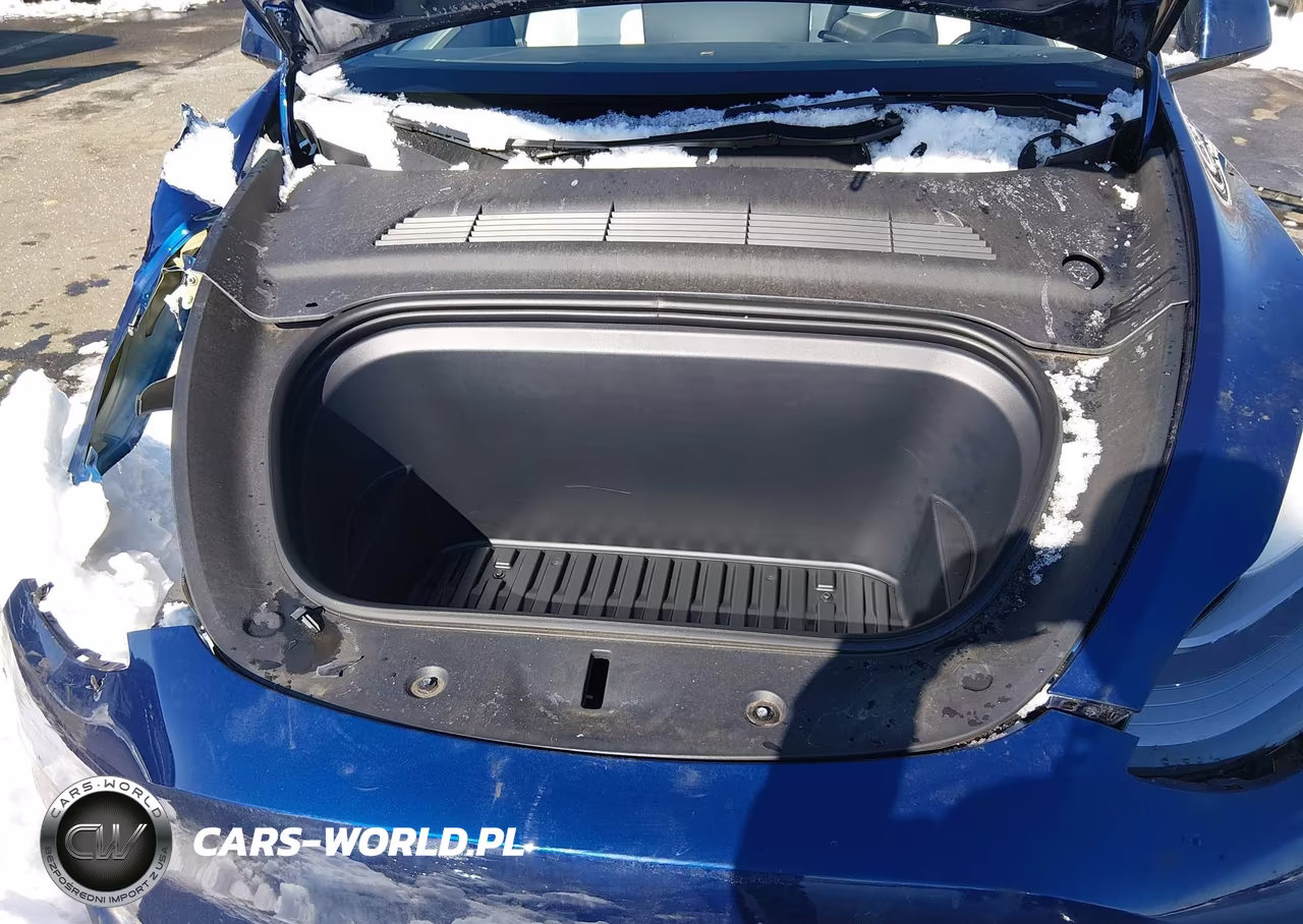 2023 Tesla Model Y Awd-Long Range Dual Motor All-Wheel Drive VIN:7SAYGDEE6PF700419 - 10
