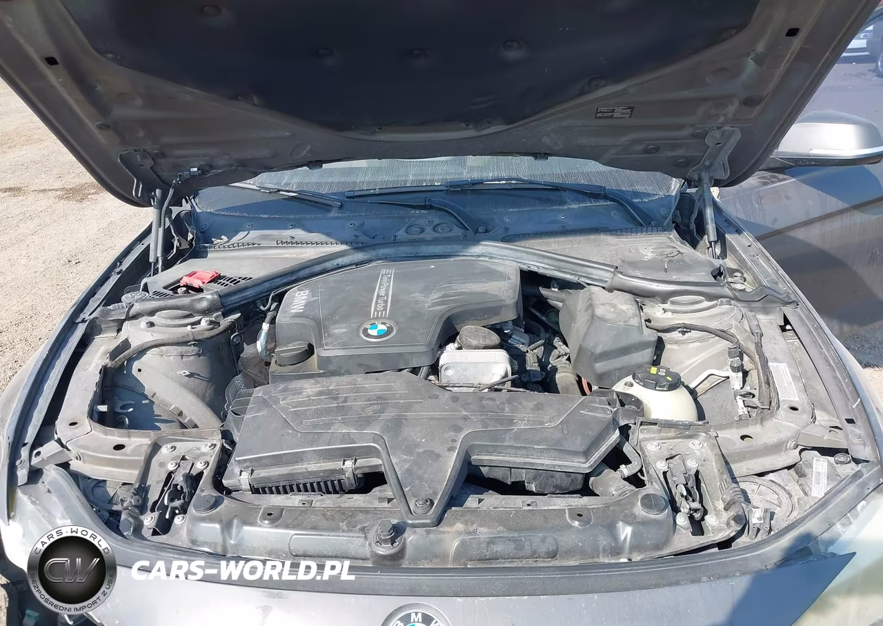 2015 BMW 320I VIN:WBA3B1C59FK136223 - 10