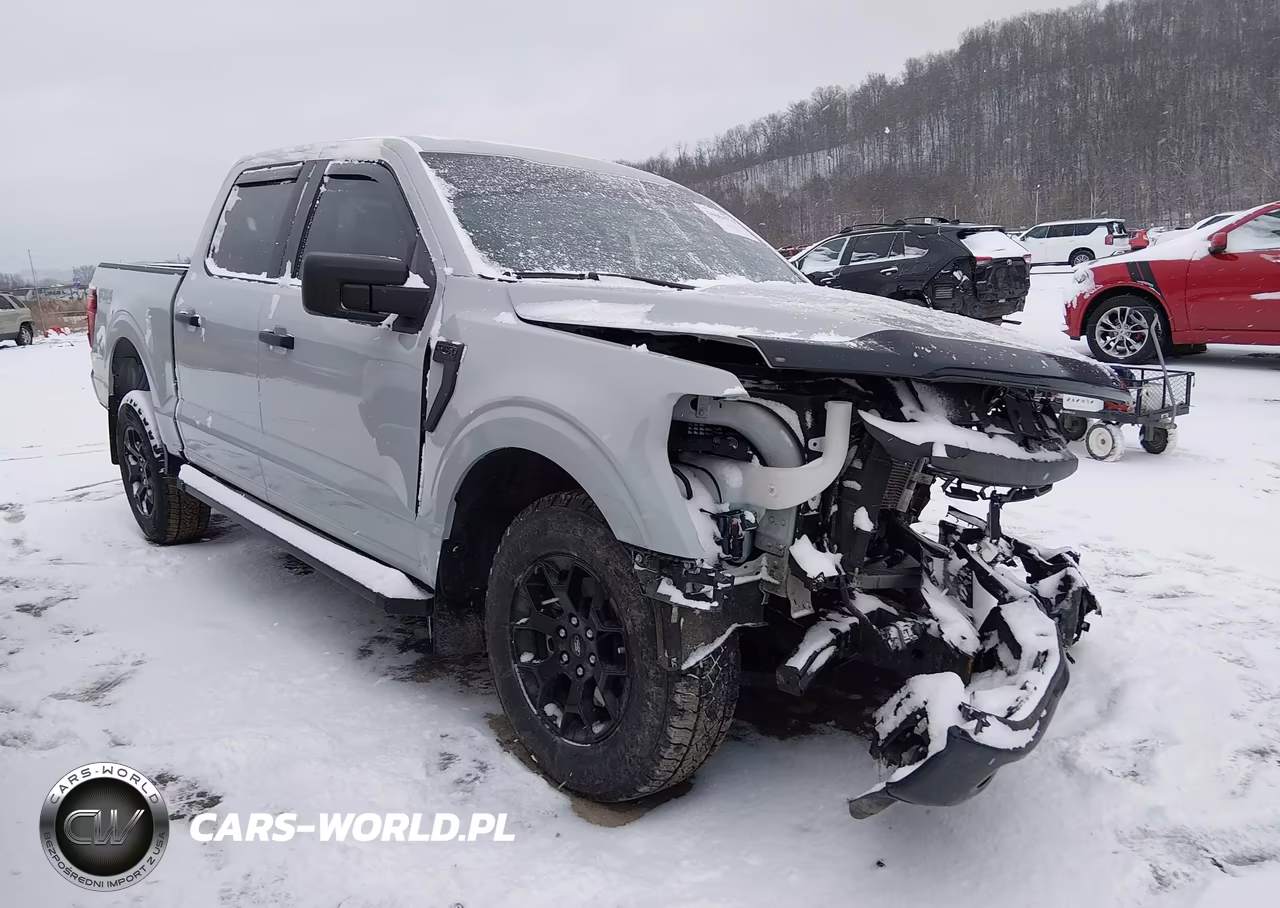 2024 Ford F-150 Stx