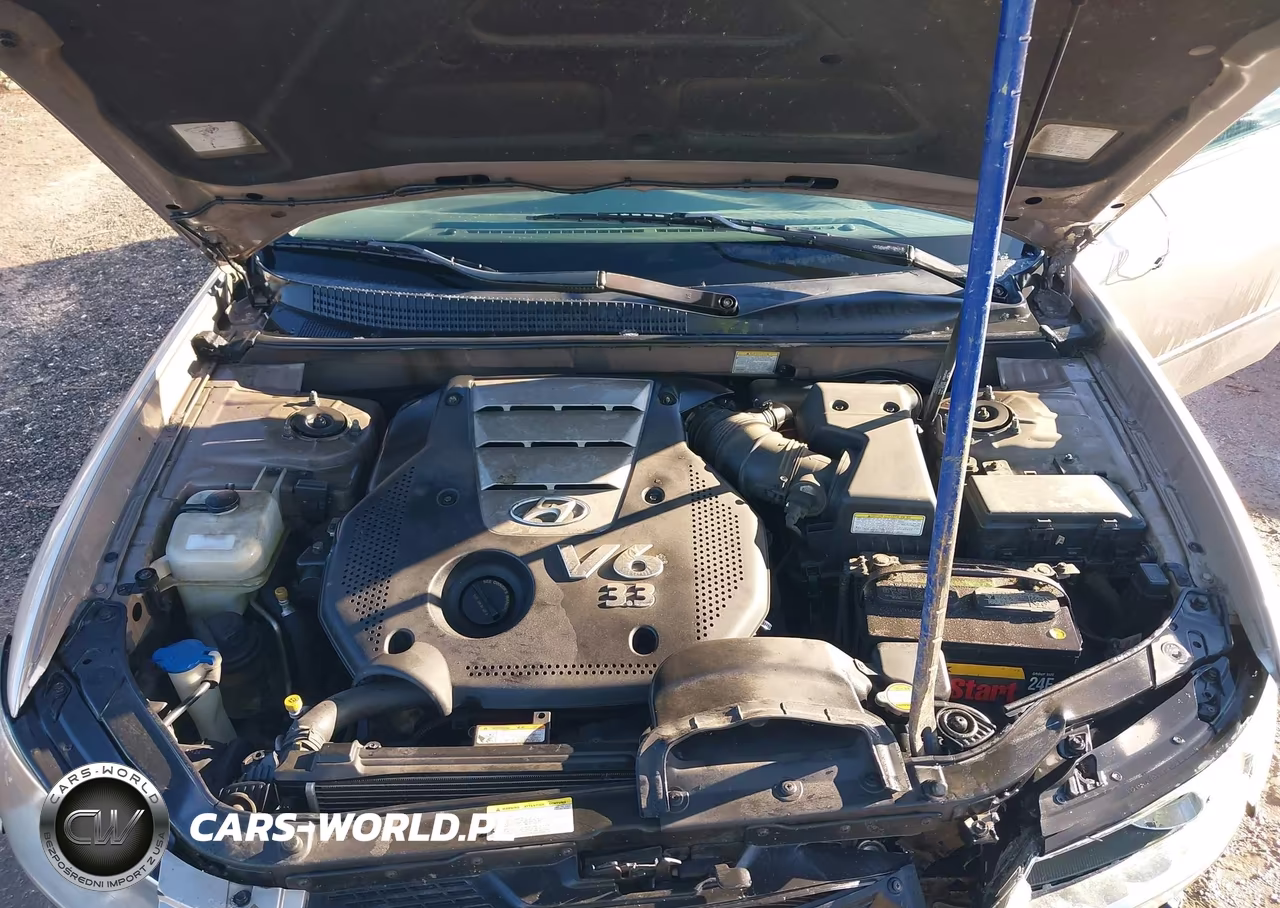2006 Hyundai Sonata Gls V6-Lx V6 VIN:5NPEU46F56H030877 - 10