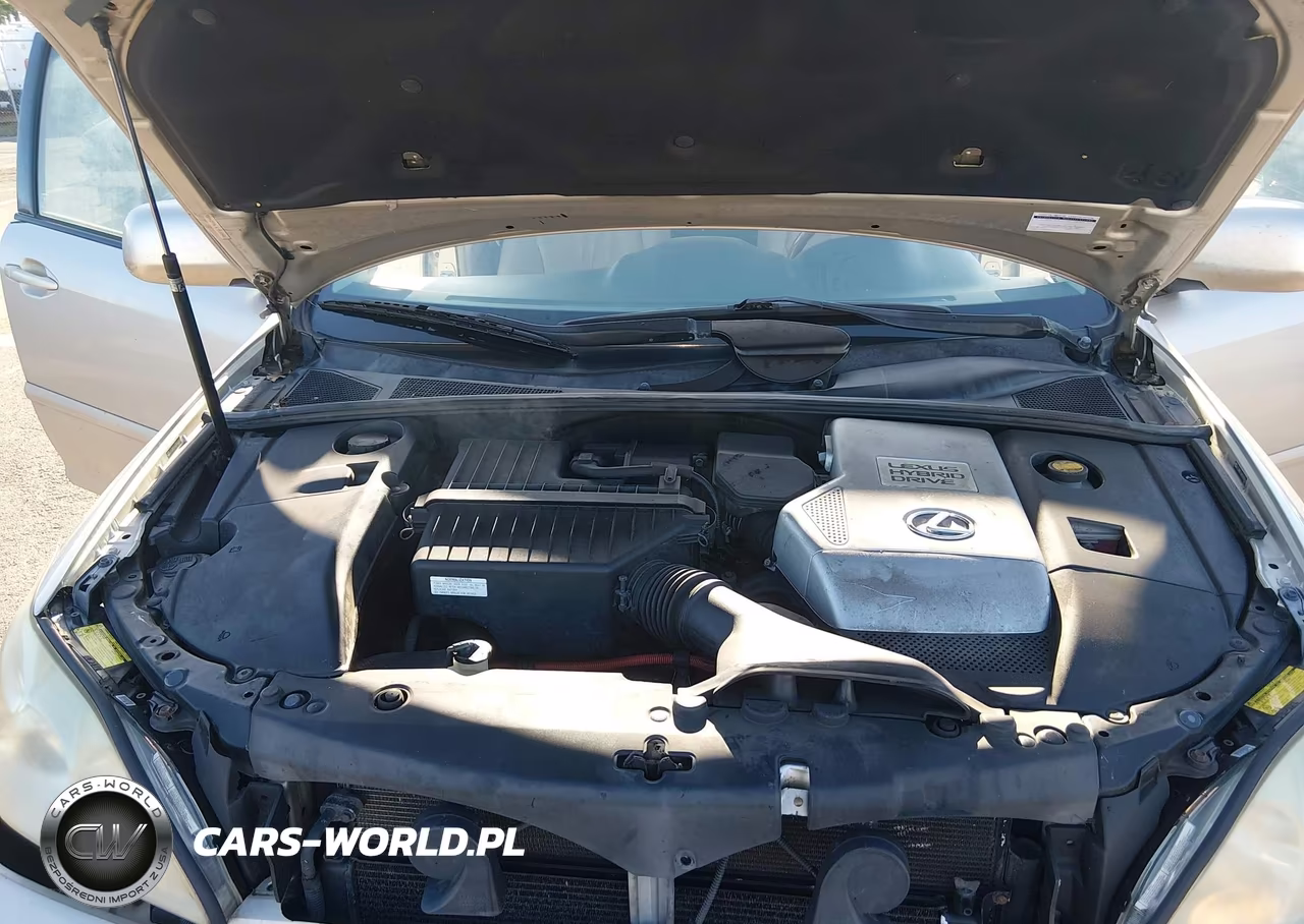 2007 Lexus Rx 400H VIN:JTJGW31U472002426 - 10