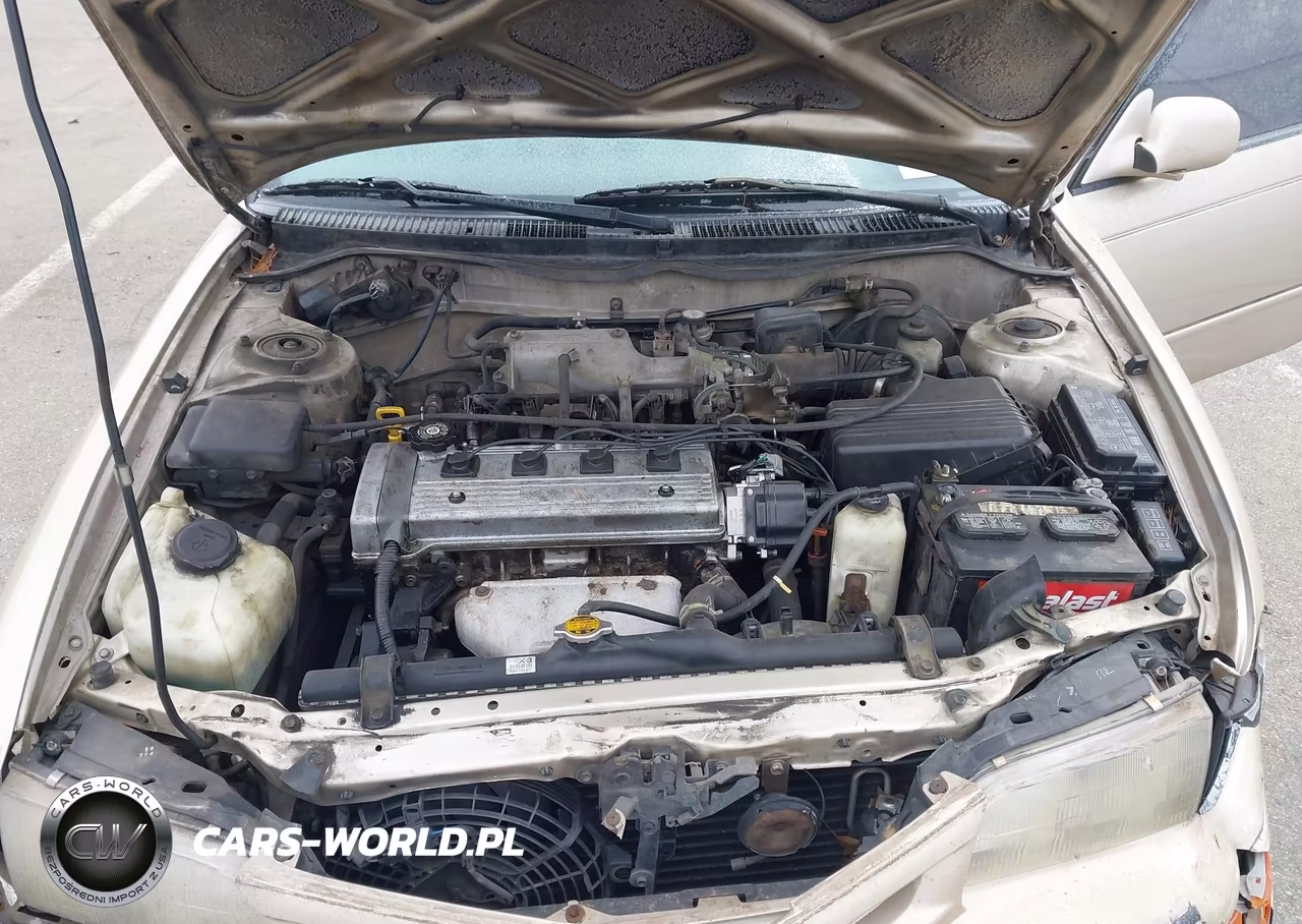 1997 Toyota Corolla Dx VIN:2T1BB02E8VC185990 - 10