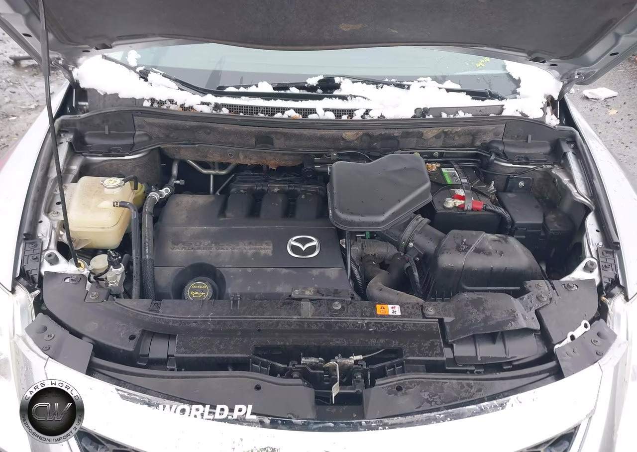 2011 Mazda Cx-9 Touring VIN:JM3TB3CAXB0319123 - 10