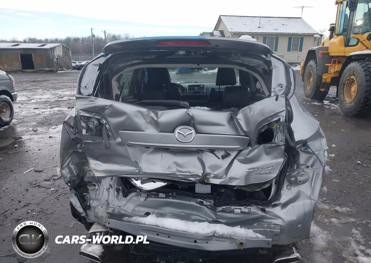 2011 Mazda Cx-9 Touring VIN:JM3TB3CAXB0319123 - 17