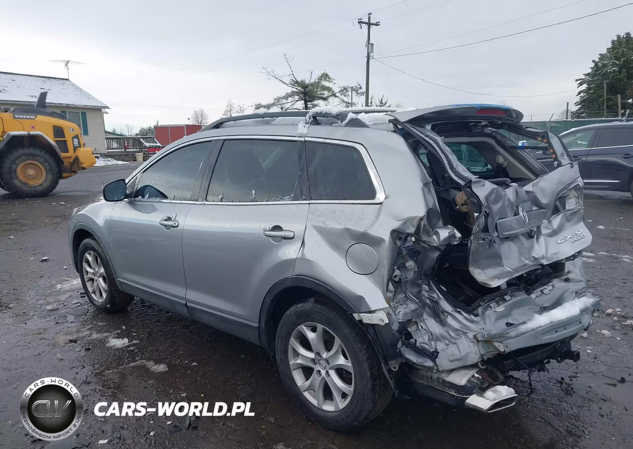 2011 Mazda Cx-9 Touring VIN:JM3TB3CAXB0319123 - 3