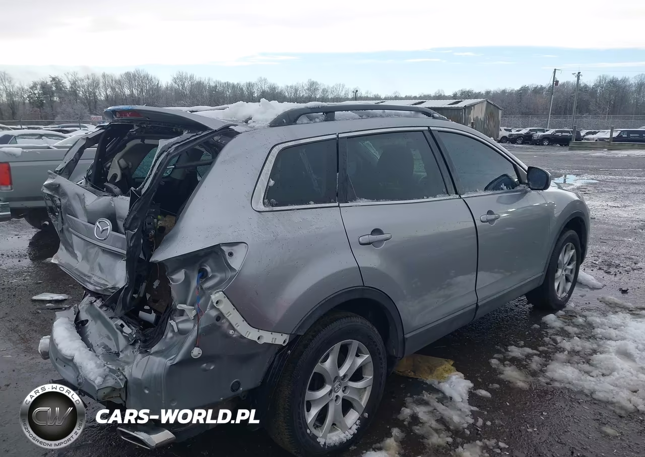 2011 Mazda Cx-9 Touring VIN:JM3TB3CAXB0319123 - 4