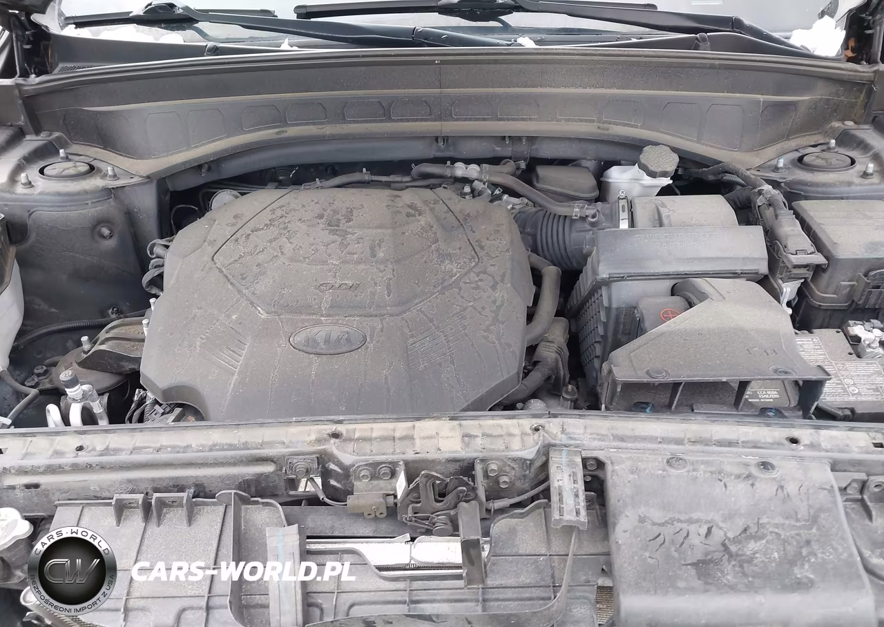 2020 Kia Telluride S VIN:5XYP6DHC4LG088214 - 10