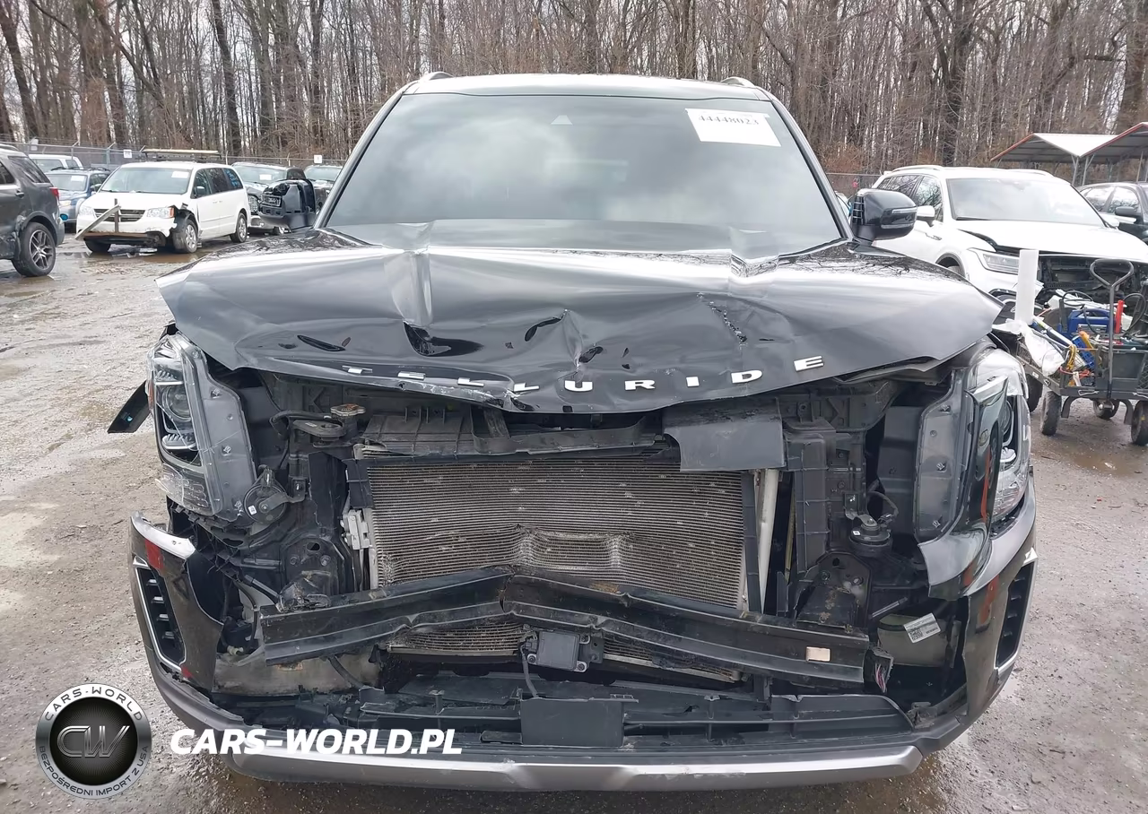 2020 Kia Telluride S VIN:5XYP6DHC4LG088214 - 12