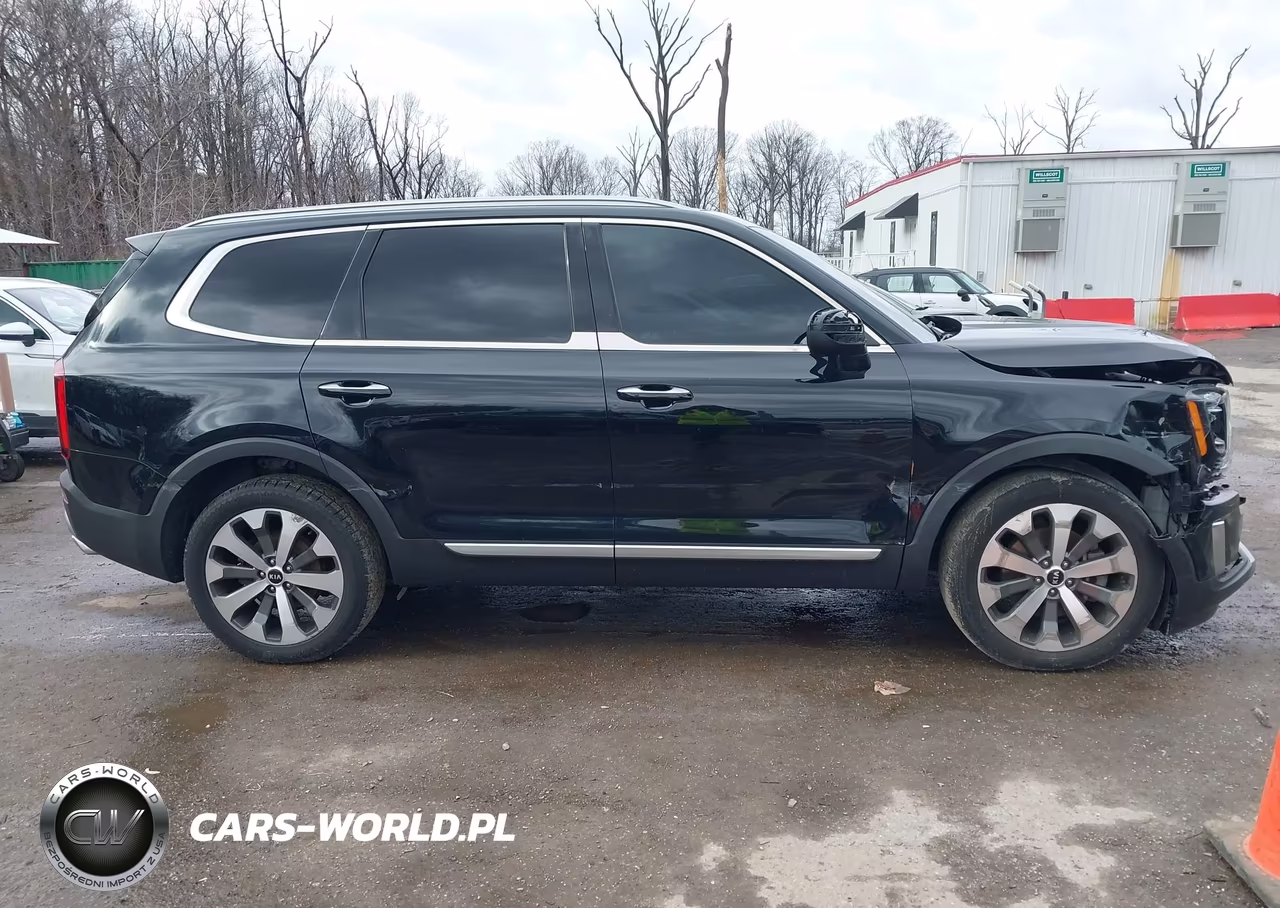 2020 Kia Telluride S VIN:5XYP6DHC4LG088214 - 13