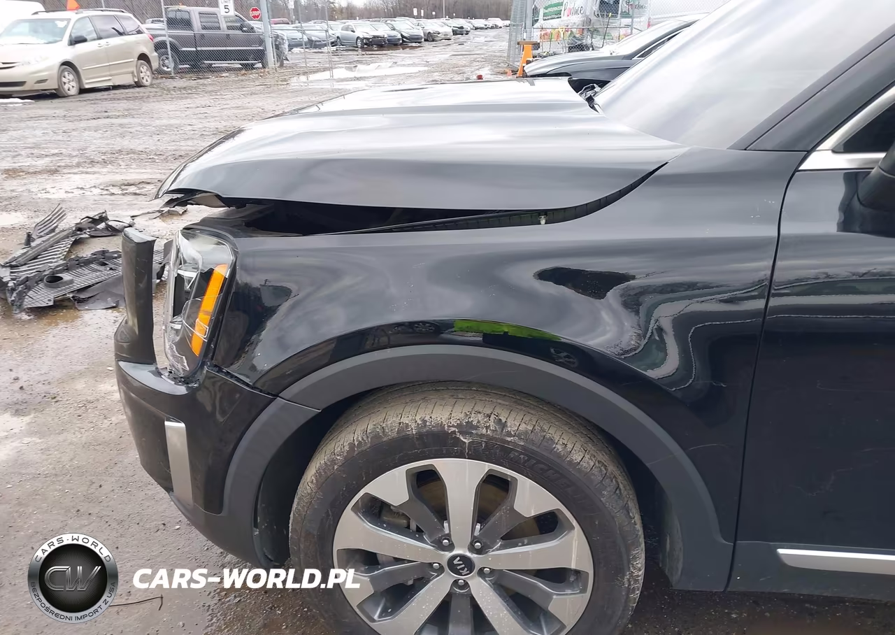 2020 Kia Telluride S VIN:5XYP6DHC4LG088214 - 6