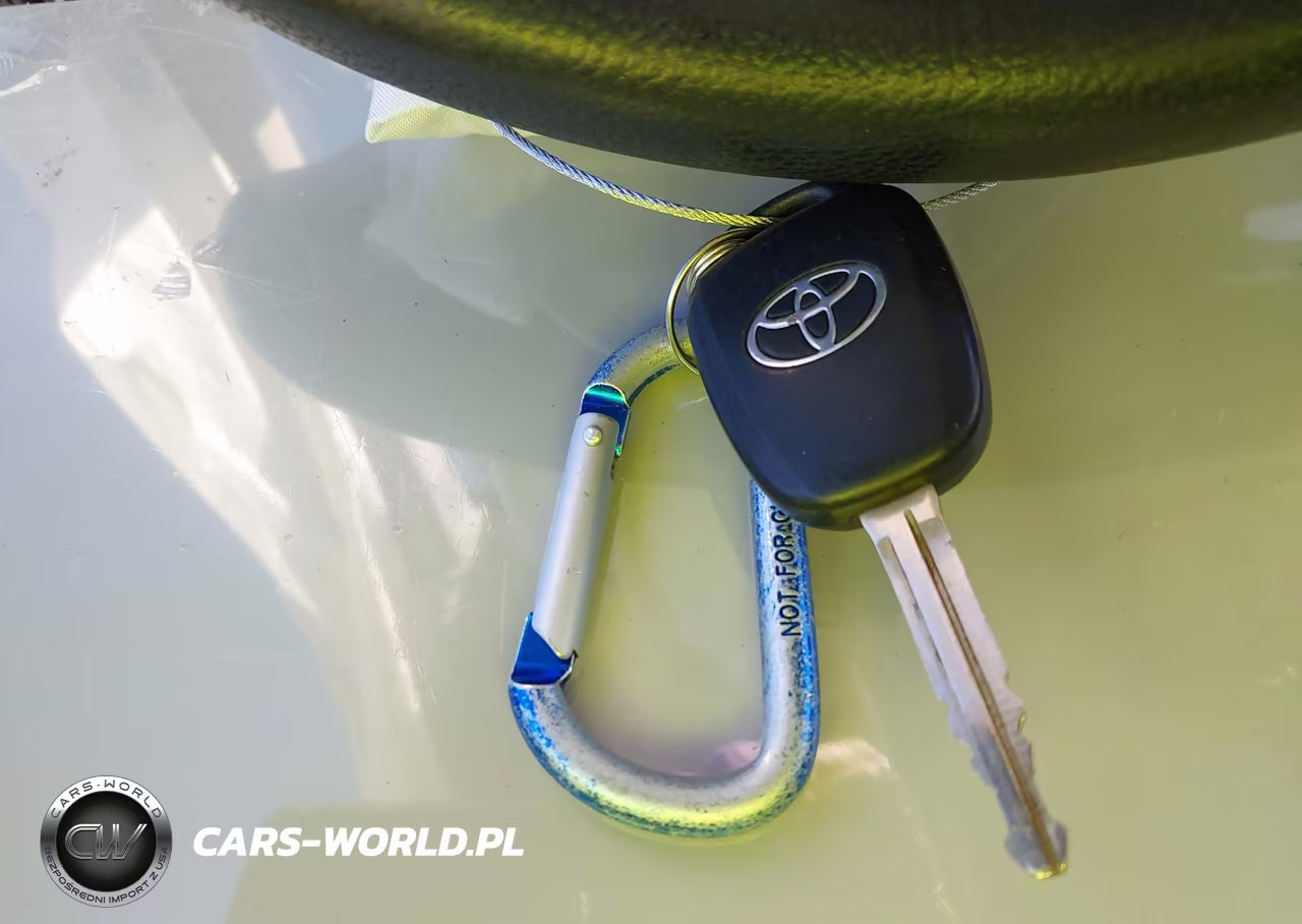 2015 Toyota Rav4 Xle VIN:2T3WFREV1FW134909 - 11